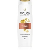 Szampony do włosów - Pantene Pro-V Active Nutri Plex Infinitely Long szampon odżywczy dla długich włosów 250 ml - miniaturka - grafika 1
