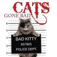 Rozrywka i humor - Cats Gone Bad - Scratching Kat - miniaturka - grafika 1