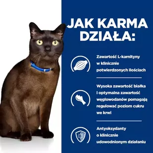 HILL'S PD Prescription Diet Feline m/d  12 x 156g - puszka - Mokra karma dla kotów - miniaturka - grafika 2