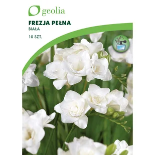 Frezja pełna biała 10szt. cebulki kwiatów Geolia - Nasiona i cebule - miniaturka - grafika 1