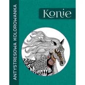 Książki o kulturze i sztuce - Sztuka i techniki Malarstwo iluzoryczne Używana - miniaturka - grafika 1