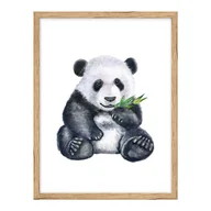 Obrazy i zdjęcia na płótnie - Obraz Panda 30 x 40 cm - miniaturka - grafika 1
