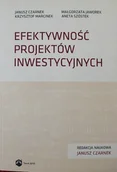 Biznes - Efektywność projektów inwestycyjnych - miniaturka - grafika 1