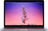 Elektronika OUTLET - Laptop Apple Apple MacBook Pro 13" A1989 2018r. i7-8559U 16GB 1024GB SSD 2560x1600 Klasa A- MacOS Big Sur QWERTY PL - miniaturka - grafika 1