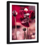 Plakaty - Obraz w ramie czarnej FEEBY, Maki Czerwone Kwiaty 60x90 - miniaturka - grafika 1