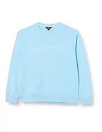 Bluzy męskie - Lee Męska bluza z logo Seasonal SWS, Shasta Blue, XL, Shasta Blue - miniaturka - grafika 1