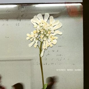 Stereo Mind Game (Limited Edition) (ekologiczny kolorowy winyl) - Winyle - miniaturka - grafika 1