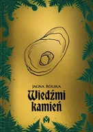 E-booki - literatura obca - Wiedźmi kamień - miniaturka - grafika 1