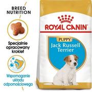 Sucha karma dla psów - Royal Canin Jack Russel Junior 1,5 kg - miniaturka - grafika 1