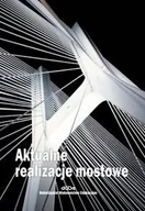 Podręczniki dla szkół wyższych - Dolnośląskie Wydawnictwo Edukacyjne Aktualne realizacje mostowe - praca zbiorowa - miniaturka - grafika 1