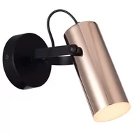 Lampy sufitowe - Rabalux 6428 - LED Oświetlenie punktowe RAVEN LED/5W/230V - miniaturka - grafika 1