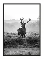 Plakaty - Plakat w ramie E-DRUK Jeleń, 33x43 cm - miniaturka - grafika 1