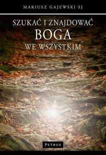 SZUKAĆ I ZNAJDOWAĆ BOGA WE WSZYSTKIM - Religia i religioznawstwo - miniaturka - grafika 1