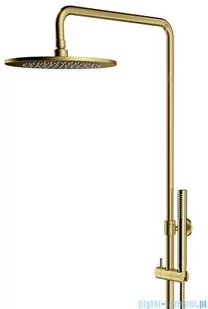 Omnires Y zestaw prysznicowy natynkowy mosiądz szczotkowany Y1244MBSB - Baterie umywalkowe - miniaturka - grafika 3