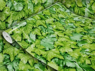 Samoprzylepna Okleina Meblowa Latorośl Na Meble Komodę Regał Szafkę 45x740 - Tapety Samoprzylepna Okleina Meblowa Latorośl Na Meble Komodę Regał Szafkę 45x740 - Tapety - miniaturka - grafika 1