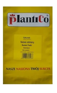 Ogórek gruntowy Polan - mieszaniec 100 g Plantico POLAN - Nasiona i cebule - miniaturka - grafika 1