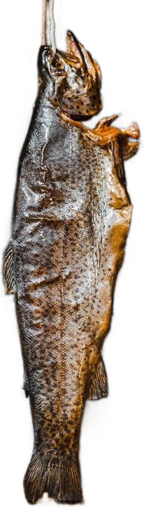 Pstrąg wędzony 300g - Schronisko Bukowina
