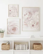 Obrazy i zdjęcia na płótnie - Zestaw plakatów z kwiatami 3 części - miniaturka - grafika 1