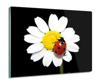 Deski do krojenia - osłona płyty kuchennej Biedronka owad kwiat 60x52, ArtprintCave - miniaturka - grafika 1