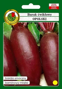 Burak ćwikłowy Opolski 100 g PNOS - Nasiona i cebule - miniaturka - grafika 1