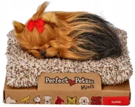 Maskotki i pluszaki - Perfect Petzzz Mały szczeniaczek York - miniaturka - grafika 1