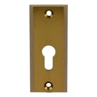 Klamki - Domino Szyld Shark na wkładkę - miniaturka - grafika 1