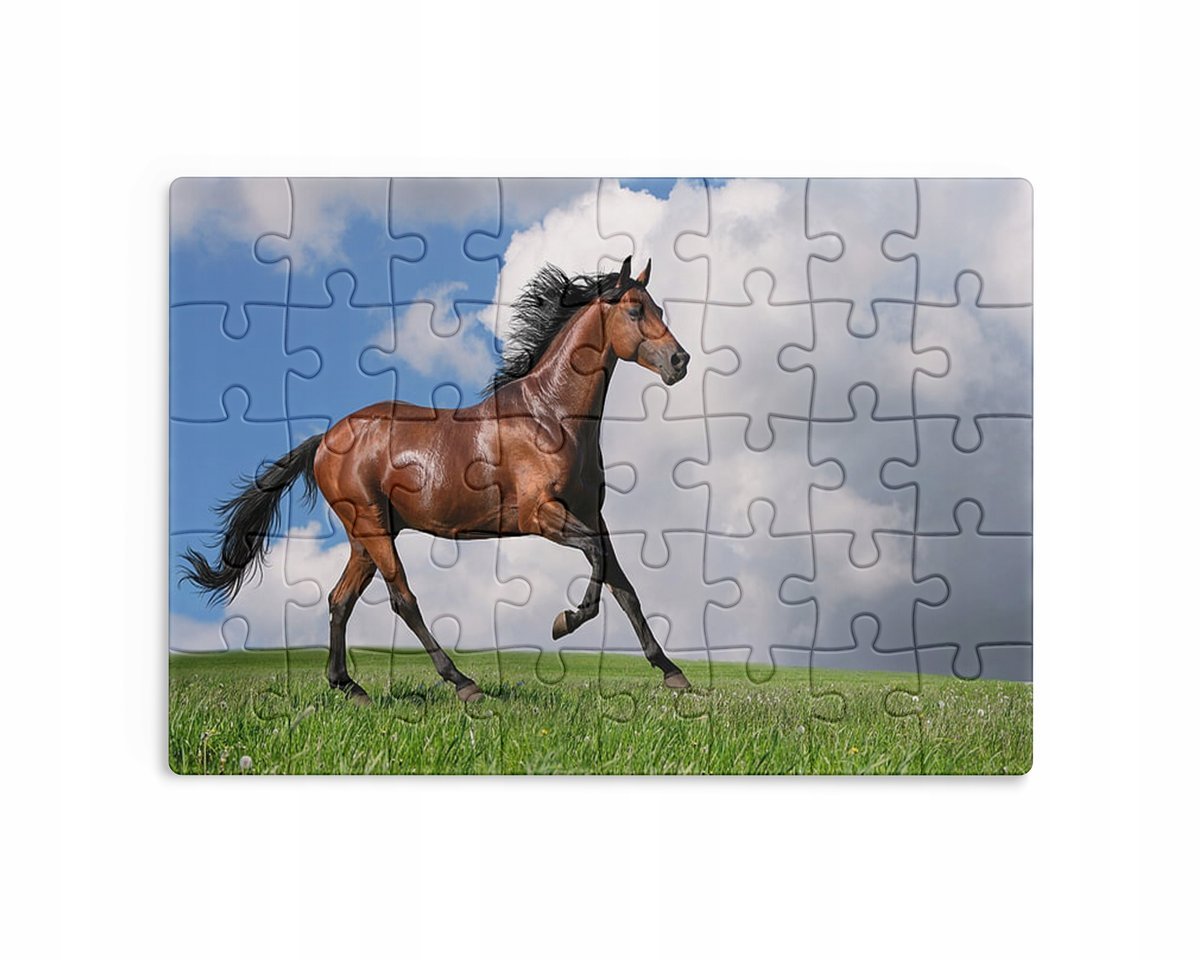 Puzzle 30/70/96/110 Elementów Sublimacja + Eko Pudełko Konie Różne Wzory