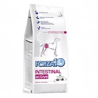 Sucha karma dla psów - Forza10 Intestinal Active 4 kg - miniaturka - grafika 1