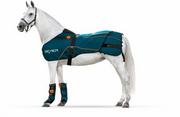 Derki dla konia - BEMER Zestaw terapeutyczny HORSE-SET derka + ochraniacze - miniaturka - grafika 1