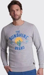 Bluza męska Shiwi Mikina The Sunshine szara  z nadrukiem -L - Bluzy męskie - miniaturka - grafika 1