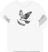Koszulki i topy damskie - Koszulka damska biała z motywem szarego sokoła w locie XL - miniaturka - grafika 1