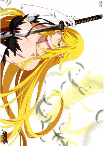 Plakat Anime Bakemonogatari bm_135 A3 (custom)