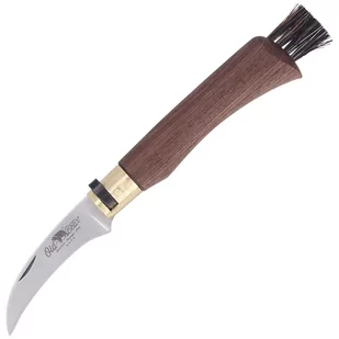 Nóż składany do grzybów Antonini Old Bear Mushroom Walnut Wood, Satin AISI 420 (AE 9387/19_LN) - Noże - miniaturka - grafika 1