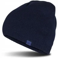 Czapki damskie - Czapka Zimowa Męska 4F Dwuwarstwowa Beanie Sportowa Ciepła Wygodna - miniaturka - grafika 1
