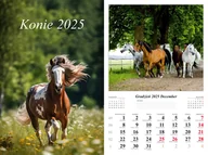 Kalendarze - Kalendarz 2025 Ścienny 7-K Konie - miniaturka - grafika 1