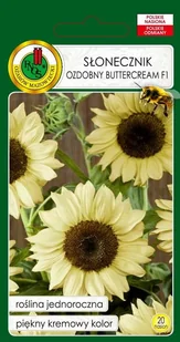 SŁONECZNIK KREMOWE KWIATY BUTTERCREAM DO BUKIETÓW NASIONA 1g - Nasiona i cebule - miniaturka - grafika 1