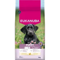 Sucha karma dla psów - Karma dla psa EUKANUBA Puppy Large Breed Kurczak 15 kg - miniaturka - grafika 1