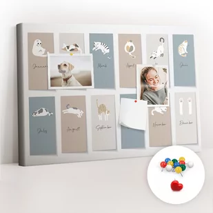 Szkolna Tablica korkowa 60x40 cm, Kolorowe Pinezki, wzór Kotowy kalendarz - Tablice i flipcharty - miniaturka - grafika 1