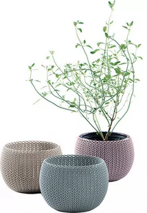 Keter Doniczka Cozies Trio 3 szt 227976 - Donice - miniaturka - grafika 1