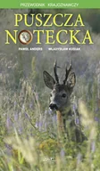 Przewodniki - Puszcza Notecka. Przewodnik krajoznawczy - miniaturka - grafika 1
