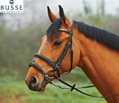 Ogłowia - BUSSE Nachrapnik kombinowany - miniaturka - grafika 1