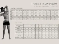 Kąpielówki męskie - Męskie Bokserki kąpielowe MEDLEY LOGO ASHT - miniaturka - grafika 1