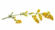 Akcesoria jeździeckie - EQUIHERBS Przytulia właściwa 1 kg - miniaturka - grafika 1