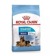 Sucha karma dla psów - Royal Canin Maxi Starter Mother&Babydog 4 kg - miniaturka - grafika 1