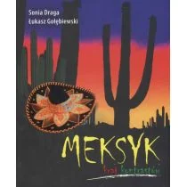 Meksyk kraj kontrastów - Przewodniki - miniaturka - grafika 1