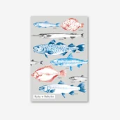 Kartki okolicznościowe i zaproszenia - Pocztówka Ryby Bałtyckie - miniaturka - grafika 1