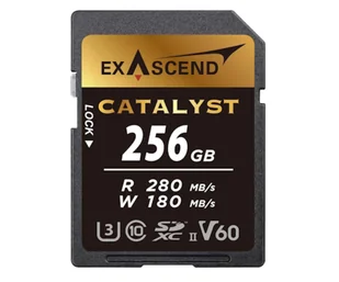 ExAscend 256GB SDXC Catalyst UHS-II V60 - Karty pamięci - miniaturka - grafika 1