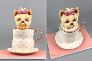 Voucher do Akademii Tortu - Czasopisma - miniaturka - grafika 1