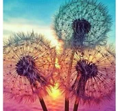 Zabawki kreatywne - Import Haft diamentowy mozaika H16212 14DA-25487_20210527095932 - miniaturka - grafika 1