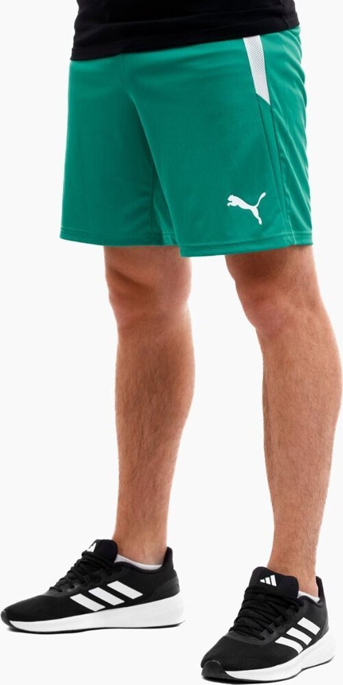 Puma Spodenki męskie Puma teamLIGA zielone 704924 05 2XL